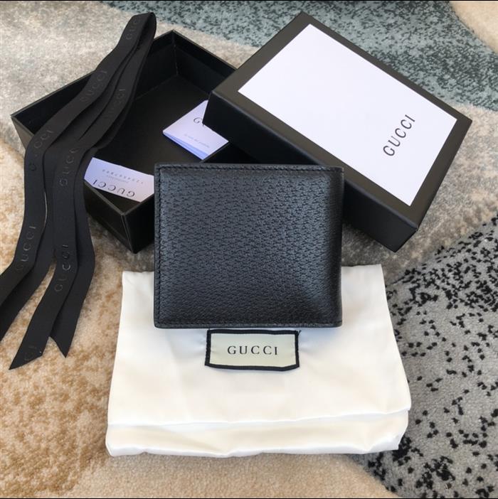 202529C523664N16405336