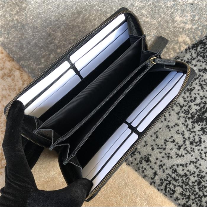 202529C523667N164053331