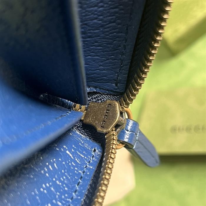 202529C658634N164055766