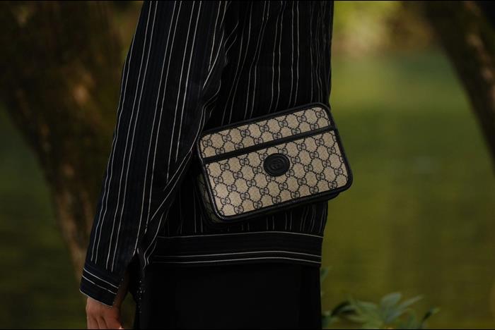 202529C658572N16405017