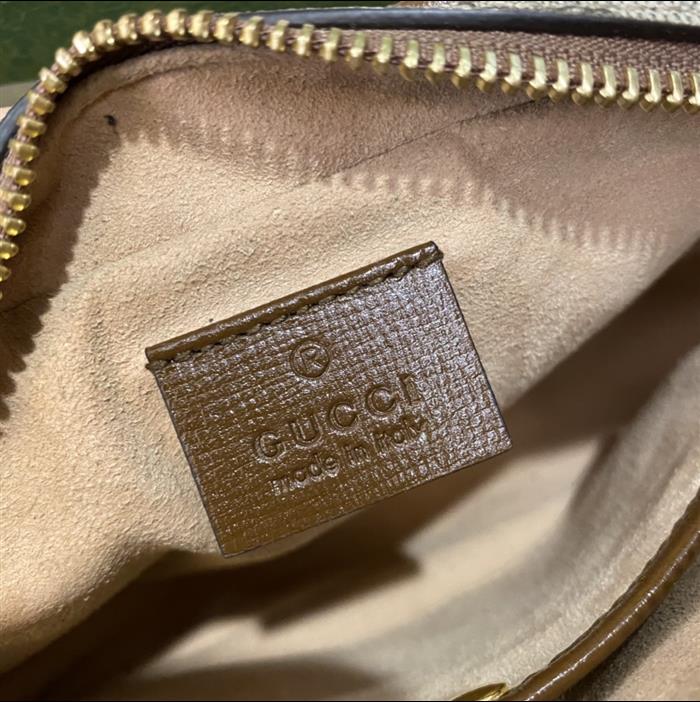 202529C658572N164050439