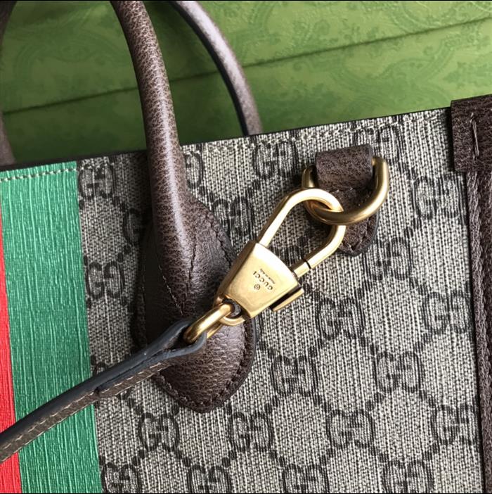 202529C659983N164052584