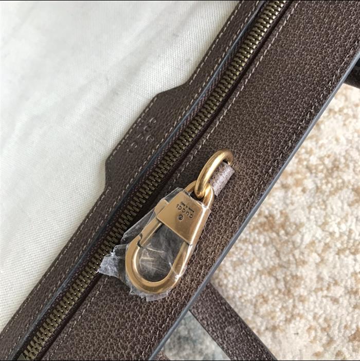 202529C659983N164052615