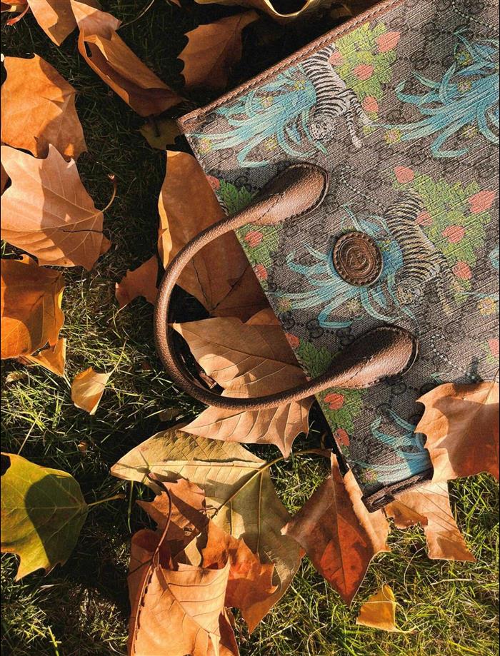 202529C659983N164052865