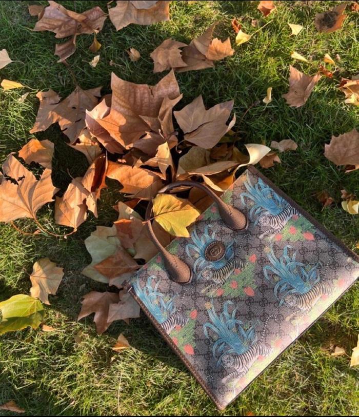 202529C659983N164052880