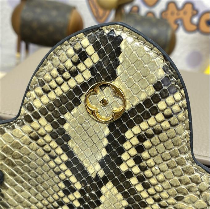 2025224N8004110320439