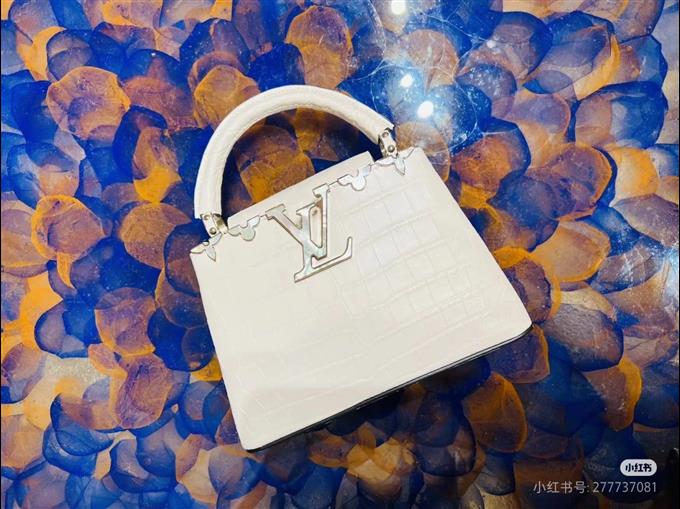 2025224N8615310325502