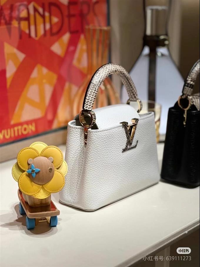 2025224M5592194818911