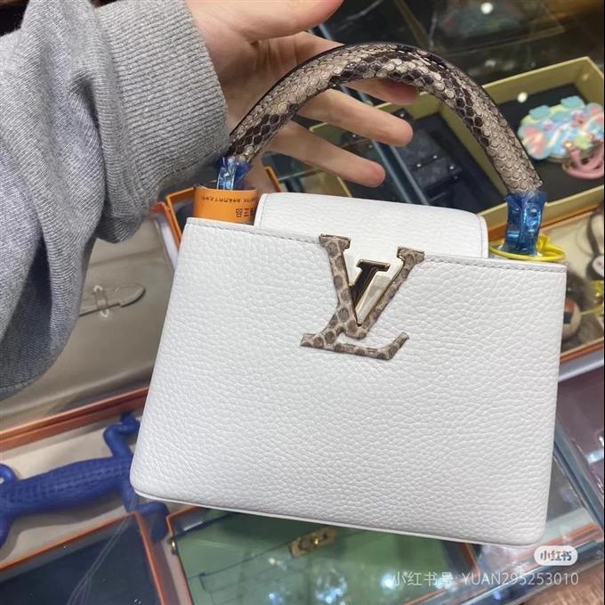 2025224M5592194831352