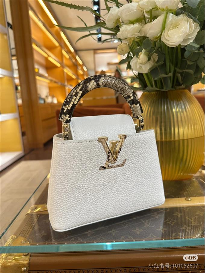 2025224M5592194831413