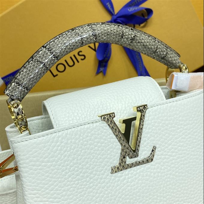 2025224M559219488810