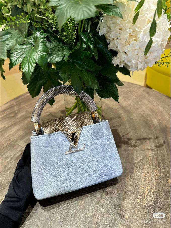 2025224M8093194841166