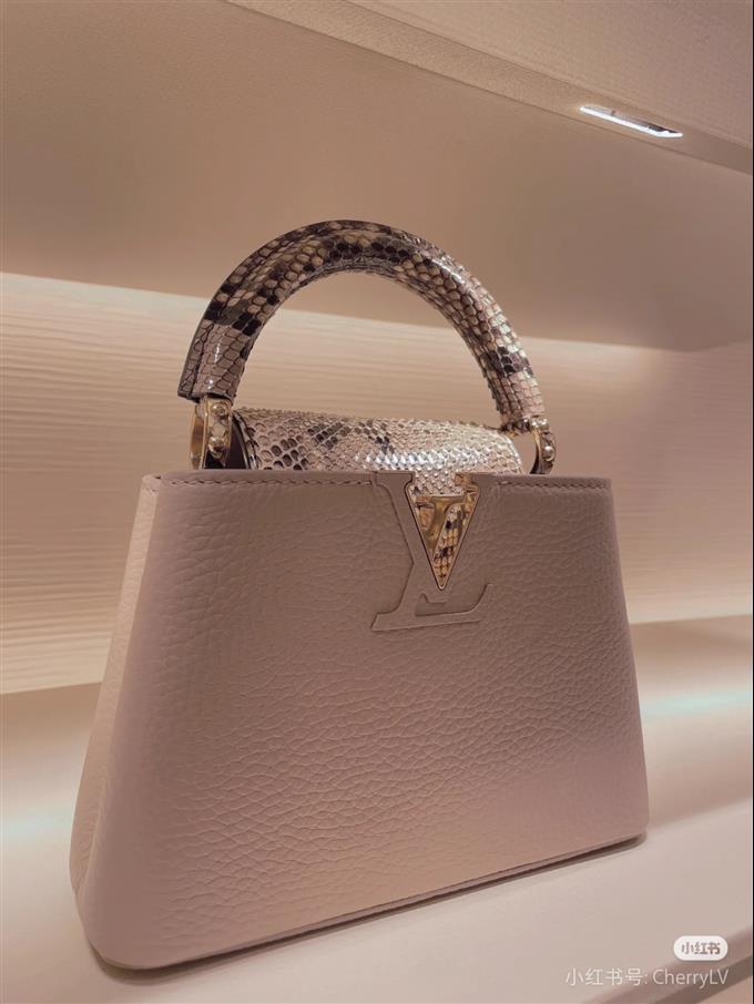 2025224M8125894823958