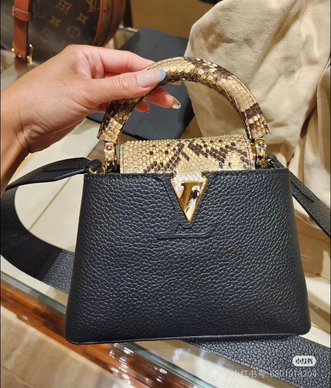 2025224M8140894833196