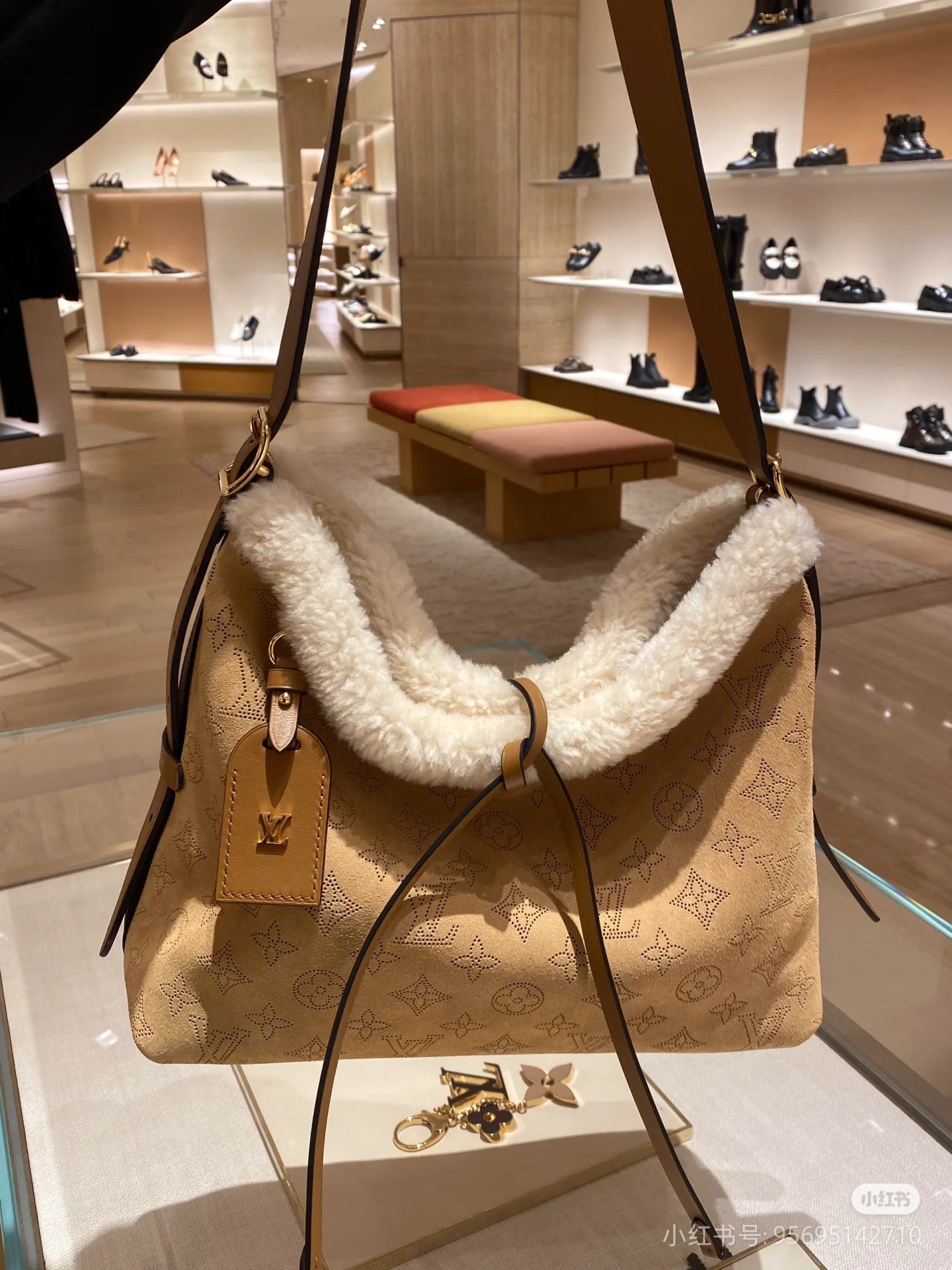 2025224M11843203952854