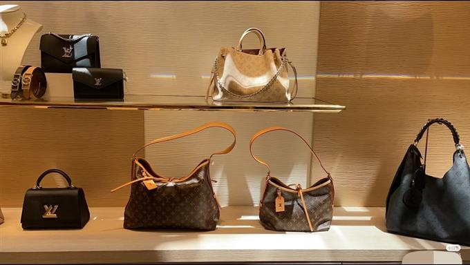 2025224M4619794516311