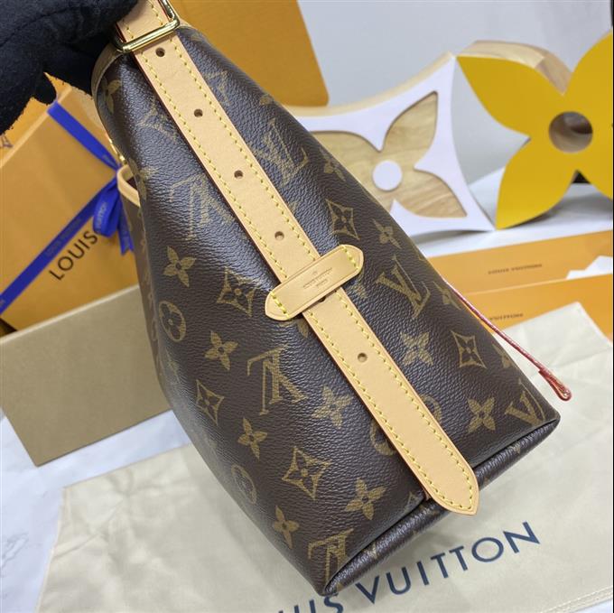 2025224M4620310202725