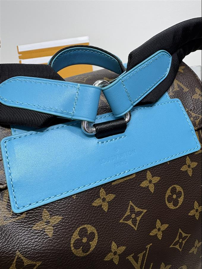 2025224M13202101715333