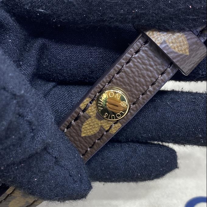 2025224M46279223652311