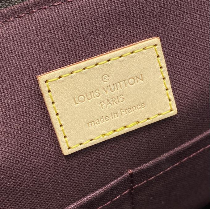 2025224M48814215746669