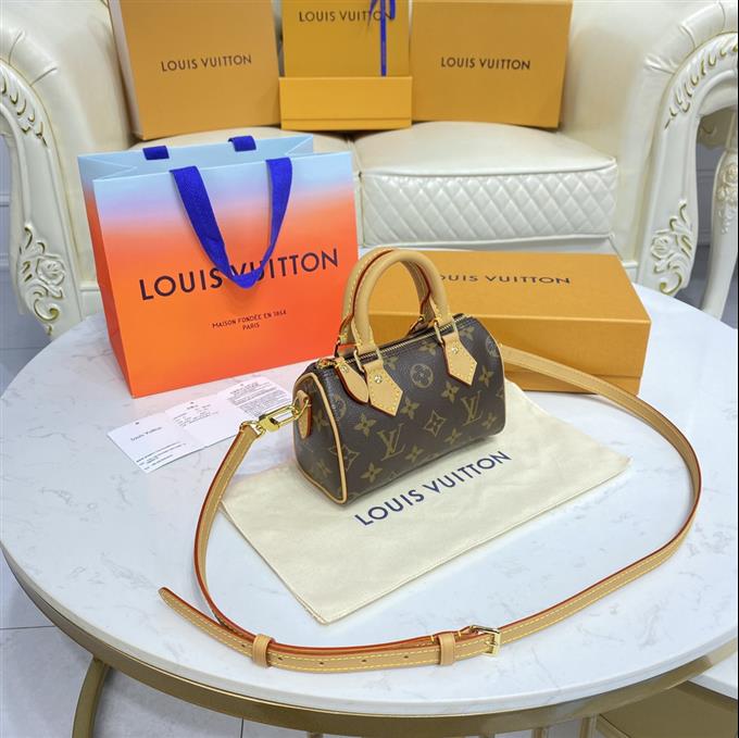 2025224M81085223656920