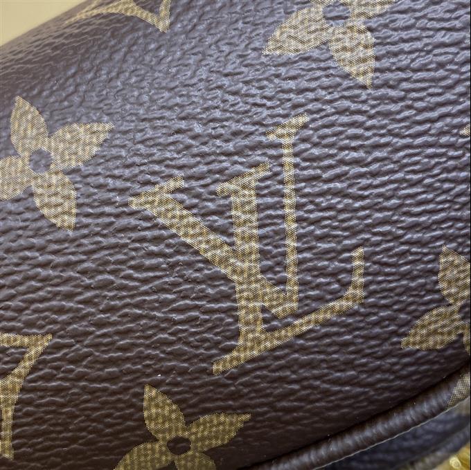 2025224M82335223657641