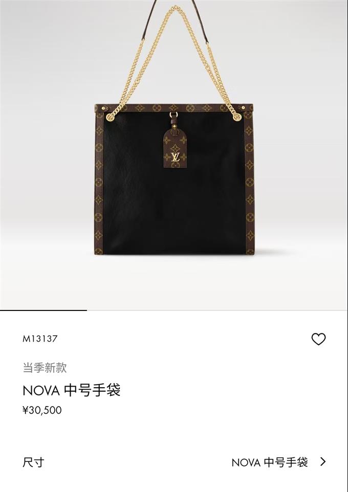 2025224M13137215748244