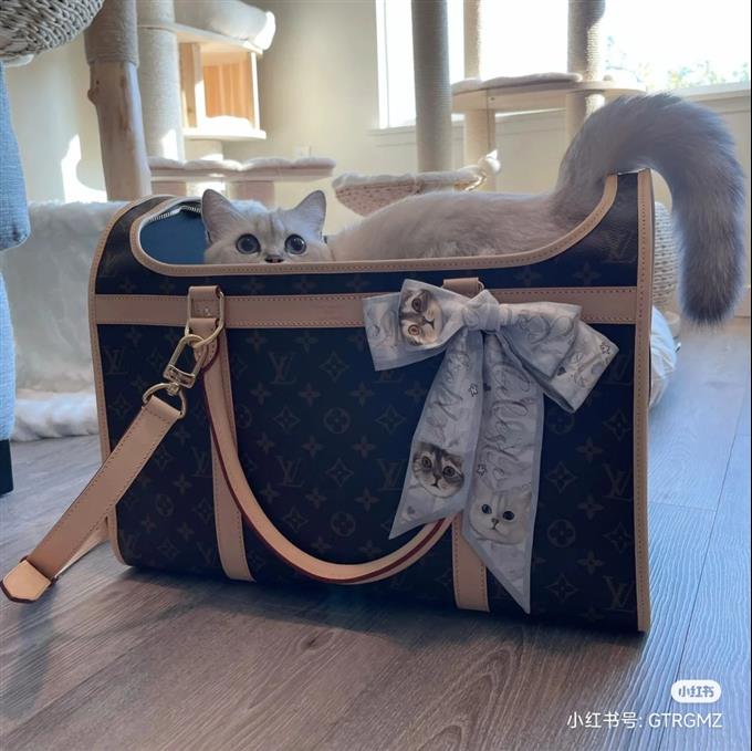 2025224M4566212142119