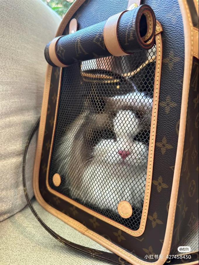 2025224M456621214272