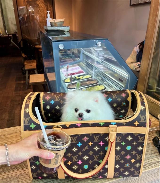 2025224M4706612141681