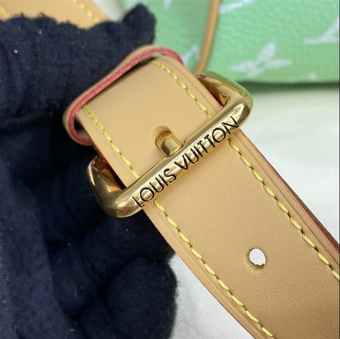 2025224M244191094913