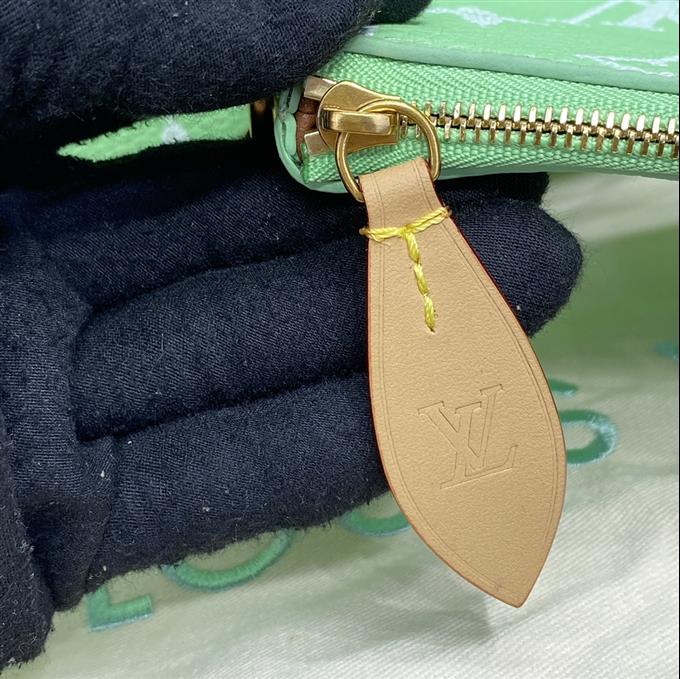 2025224M244191094960