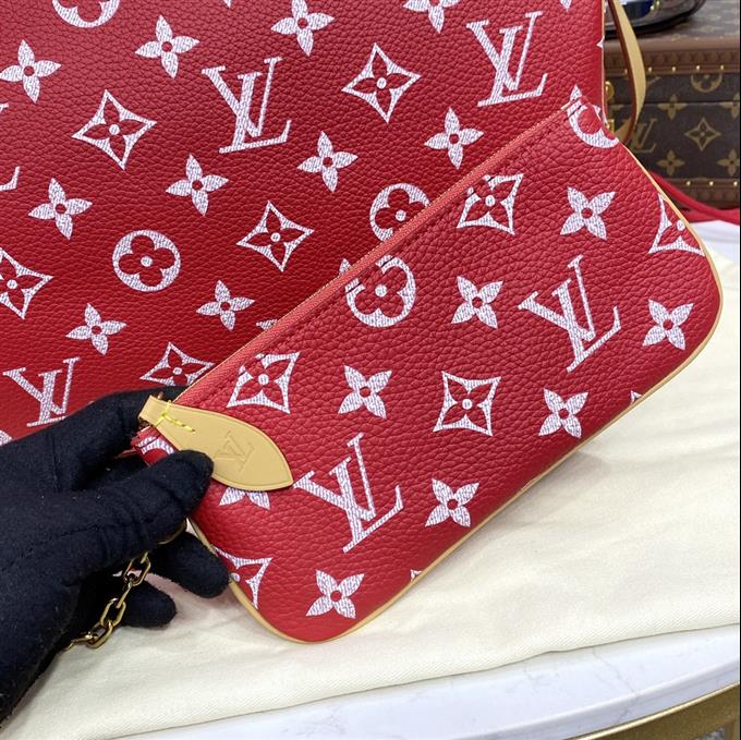 2025224M244191095080