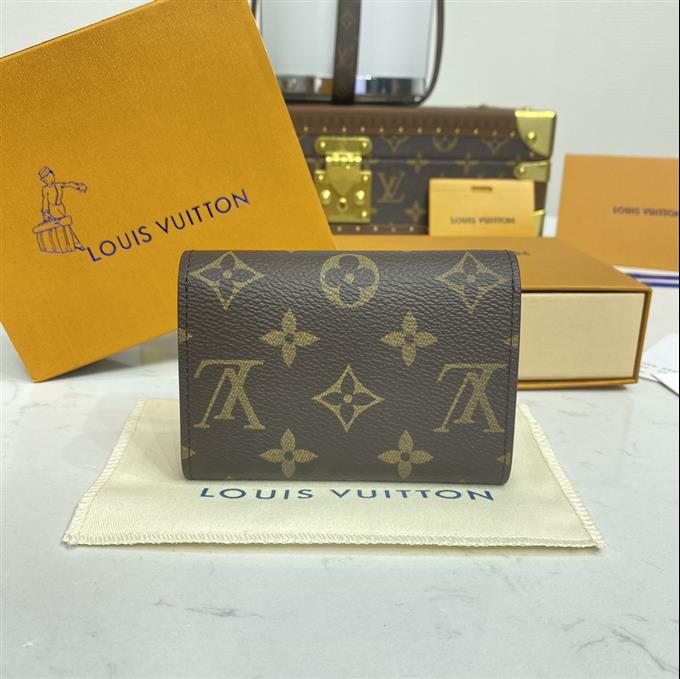 2025224M62361104113799