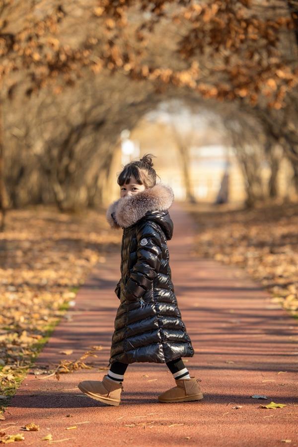 2024322133533427540580740