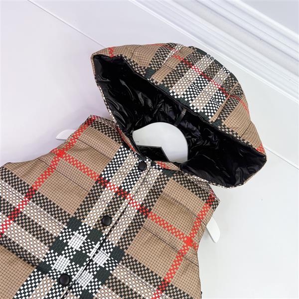 2024322111819227290320