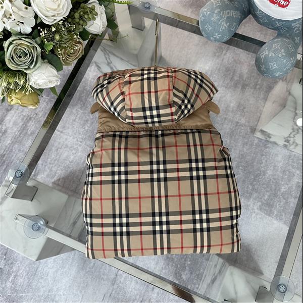 202432211185146300320