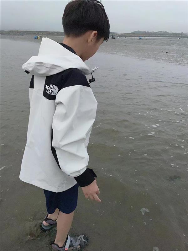 202432214552633270290