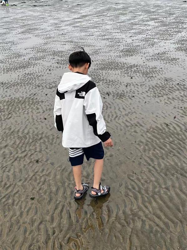 202432214552648270290