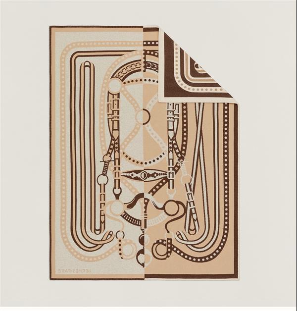 20230510 i1683699891 3621 1.jpg